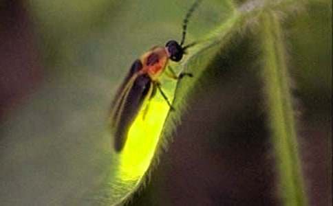 ө����ѧ��˼