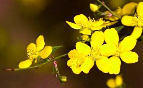 ��������ӭ�����۲��ռ�3ƪ