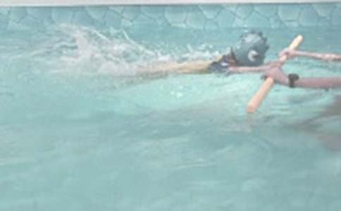 ��Ӿ���ռ�5ƪ