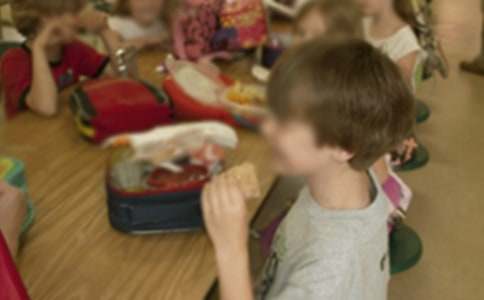 �����׶�԰���������ƻ����Ļ�����ƪ