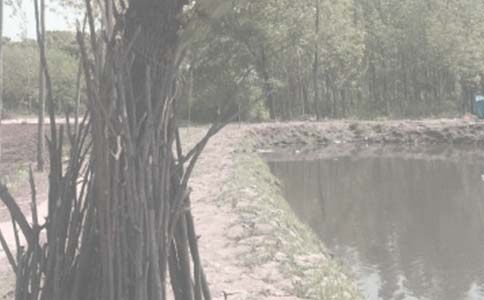 鱼塘租赁合同范本(精选16篇)