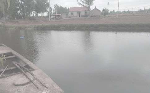 鱼塘租赁合同(精)