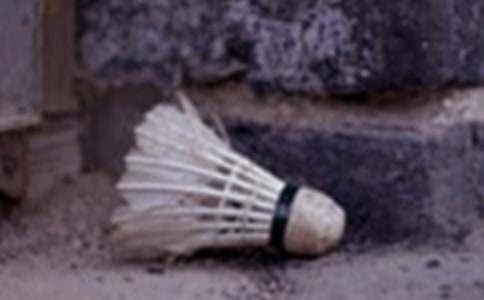 ��ë���ܽ�