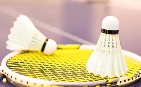 打羽毛球的日记模板汇编十篇