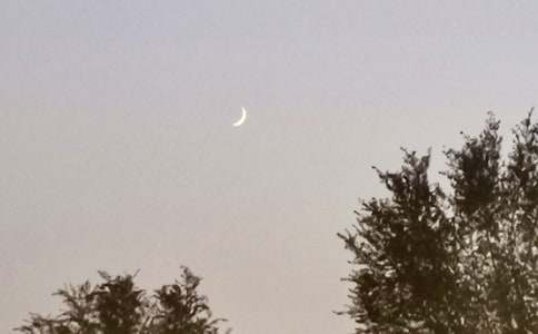 《鼹鼠的月亮河》读后感(集锦15篇)