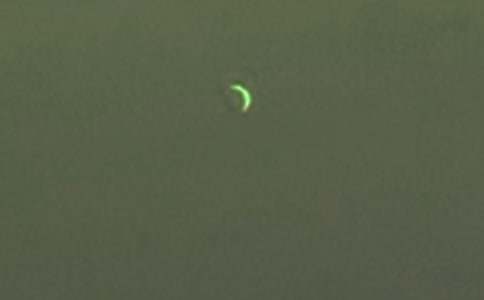 ������������ӡ�����У���ѡ20ƪ��