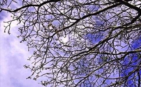 2022�������ܰ���簲������¼�ϼ�45��