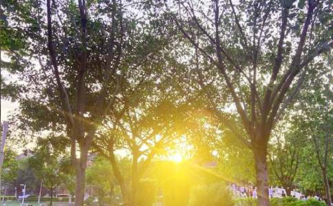 2022���й��簲��־����¼����62��