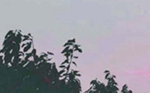 【精华】适合早上发的早安心语语录集锦35条