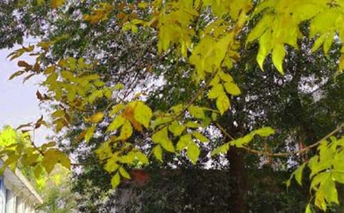 �Ƽ�ů���簲˵˵��ȫ80�侫ѡ