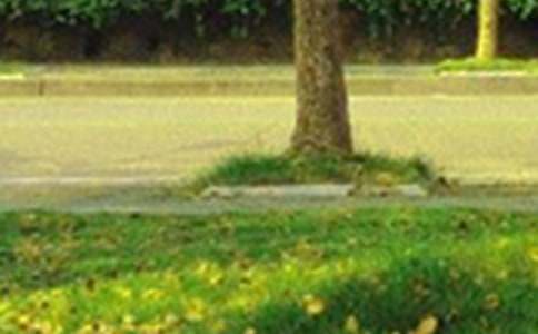 开心快乐的早安语录