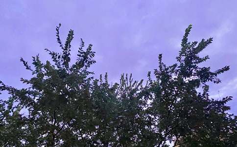 �Ƽ�Ψ���簲˵˵���ܣ�ͨ��95�䣩