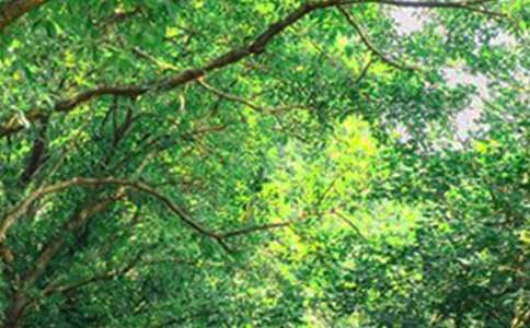 2022�곣����־�簲��¼�󼯺�51��