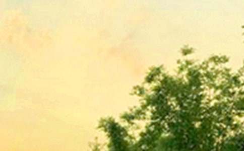 ����������簲˵˵80��