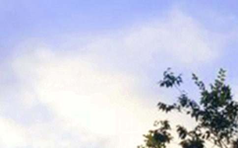 ���������簲˵˵35��