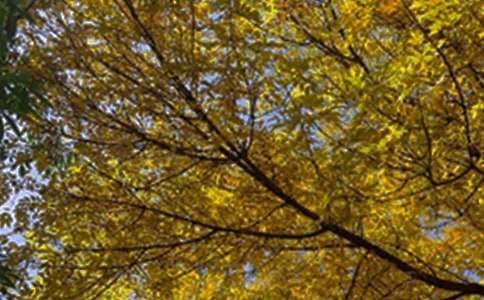 ���˵��簲������¼���58��