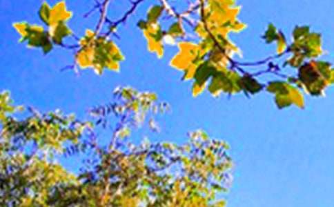 经典正能量早安说说汇总(通用90句)