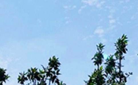 ������־�簲��¼�ϼ�43��