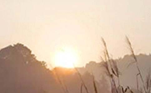 ��������2021���°��簲������¼28��