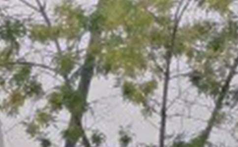 �й������簲˵˵45�侫ѡ