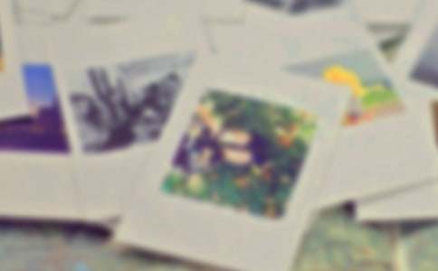 一张照片的故事小学作文【热】