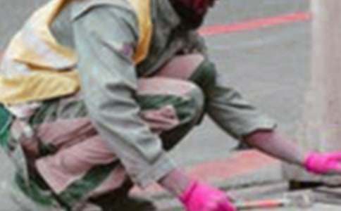 �����š�����ְҵ�滮ְҵ�滮��ƪ