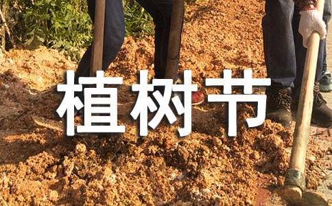 �׶�԰���ֲ���ڻ�ܽ�