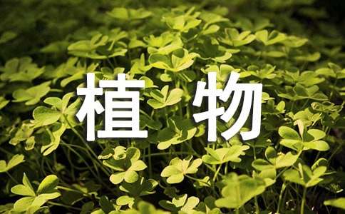 【精选】植物观察日记范文汇编八篇