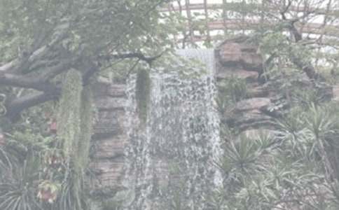 ����ֲ��԰�ռ�3ƪ