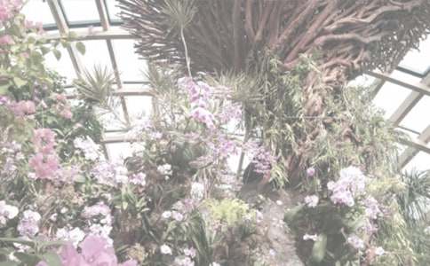 ����ֲ��԰�ռǻ��10ƪ