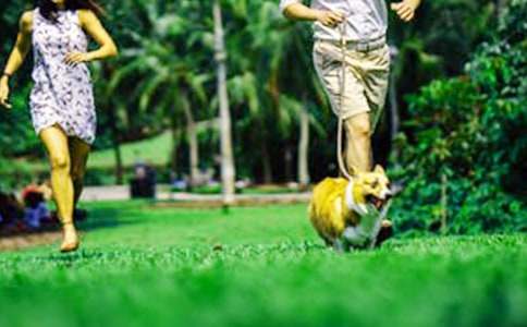 ������ĩ�ռ�15ƪ