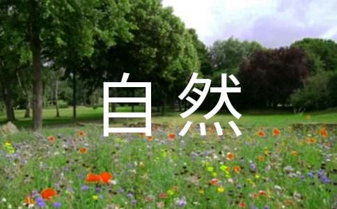 ���꼶�̰�:����Ȼ������