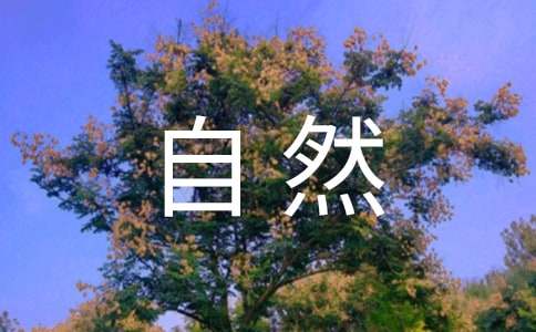 (实用)自然之道教学反思15篇