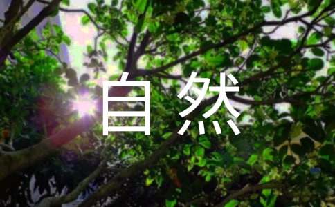 我爱大自然日记