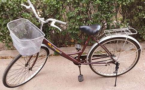 学骑自行车日记(大全7篇)