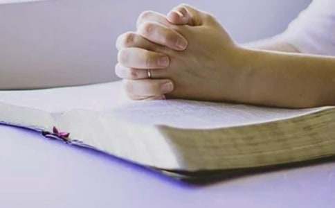 �����������ܽ�(15ƪ)