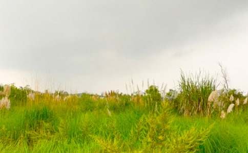 �߽���г�Ĵ�������