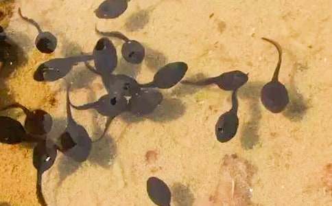 С���̰�����ѧ��˼