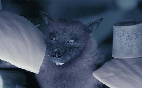 ������״�̰����ļ���9ƪ