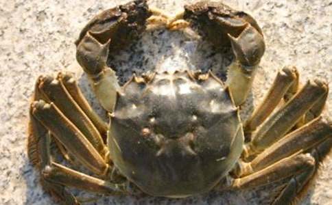 ���з�衷��ѧ��˼14ƪ