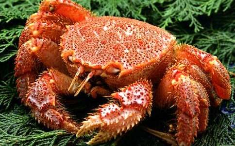 《孤独的小螃蟹》教学设计