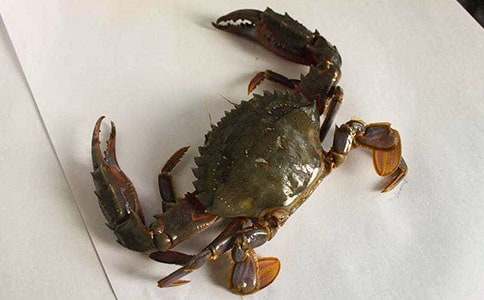 �з�۲��ռǷ��ļ�����ƪ