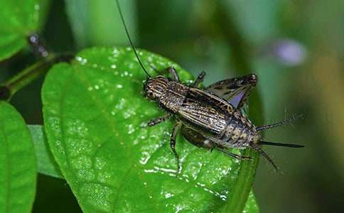 �����סլ����ѧ��˼���15ƪ