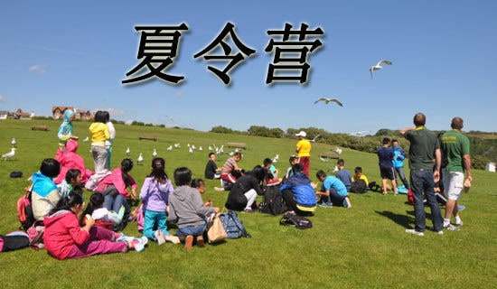 ��ѡ����Ӫ�ռǣ�ͨ��13ƪ��