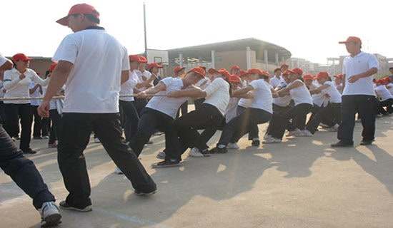 �κӱ����Ļ�ܽἯ��15ƪ