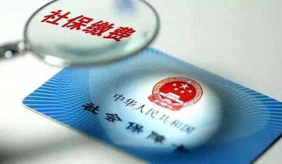 �籣��ѯ������15ƪ