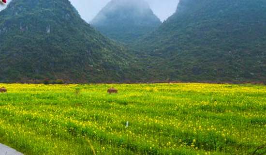 �йش��ε��ռǼ���8ƪ